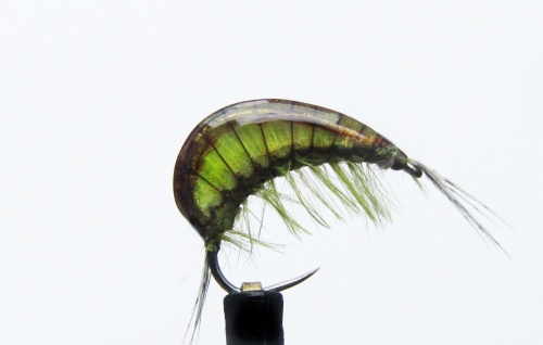 Gaga Gammarus Celery Green #10 Shrimp Fishing Fly Also Called Scud Fly